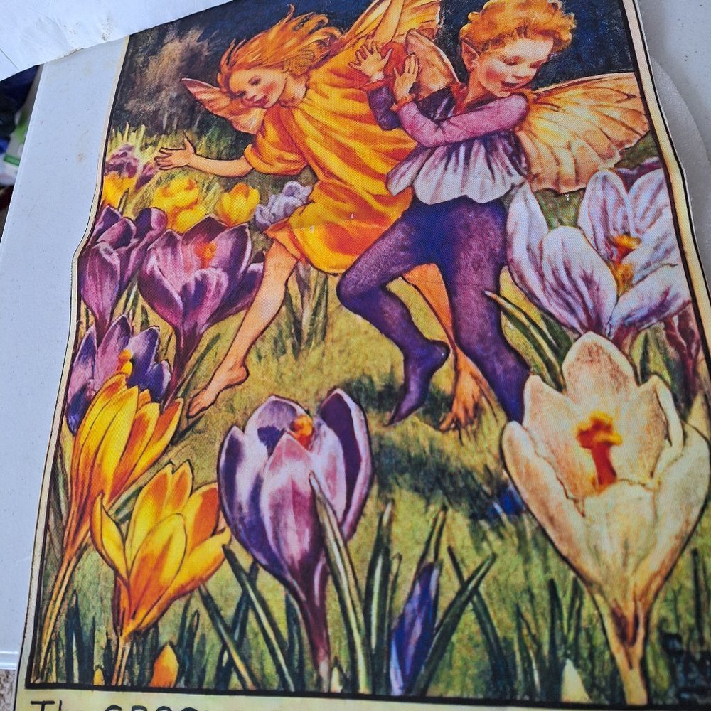 Painting canvas  the crocus faires NEW